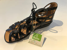 Load image into Gallery viewer, Sonnica 3315