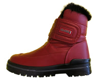 Load image into Gallery viewer, Luna