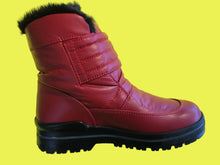 Load image into Gallery viewer, Luna