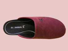 Load image into Gallery viewer, Remy