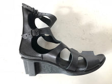 Load image into Gallery viewer, Tarantula