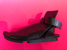 Load image into Gallery viewer, Swallow