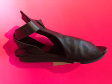 Load image into Gallery viewer, Swallow