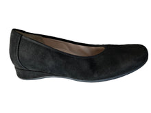 Load image into Gallery viewer, Petra 1702