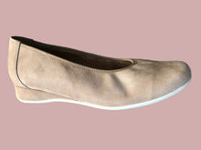 Load image into Gallery viewer, Petra 1702