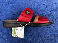 Load image into Gallery viewer, Sonnica 2897