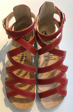 Load image into Gallery viewer, Sonnica 2847