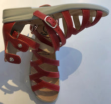 Load image into Gallery viewer, Sonnica 2847