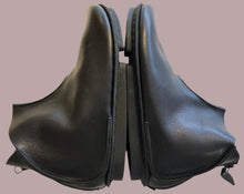 Load image into Gallery viewer, Black Hawk