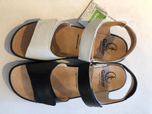 Load image into Gallery viewer, Sonnica 2857