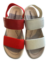 Load image into Gallery viewer, Albi