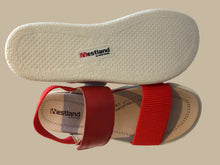 Load image into Gallery viewer, Albi