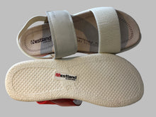 Load image into Gallery viewer, Albi