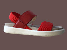 Load image into Gallery viewer, Albi