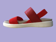 Load image into Gallery viewer, Albi