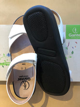 Load image into Gallery viewer, Monica 2591