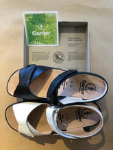 Load image into Gallery viewer, Monica 2591