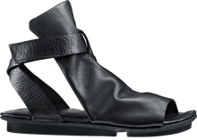 Load image into Gallery viewer, Swallow